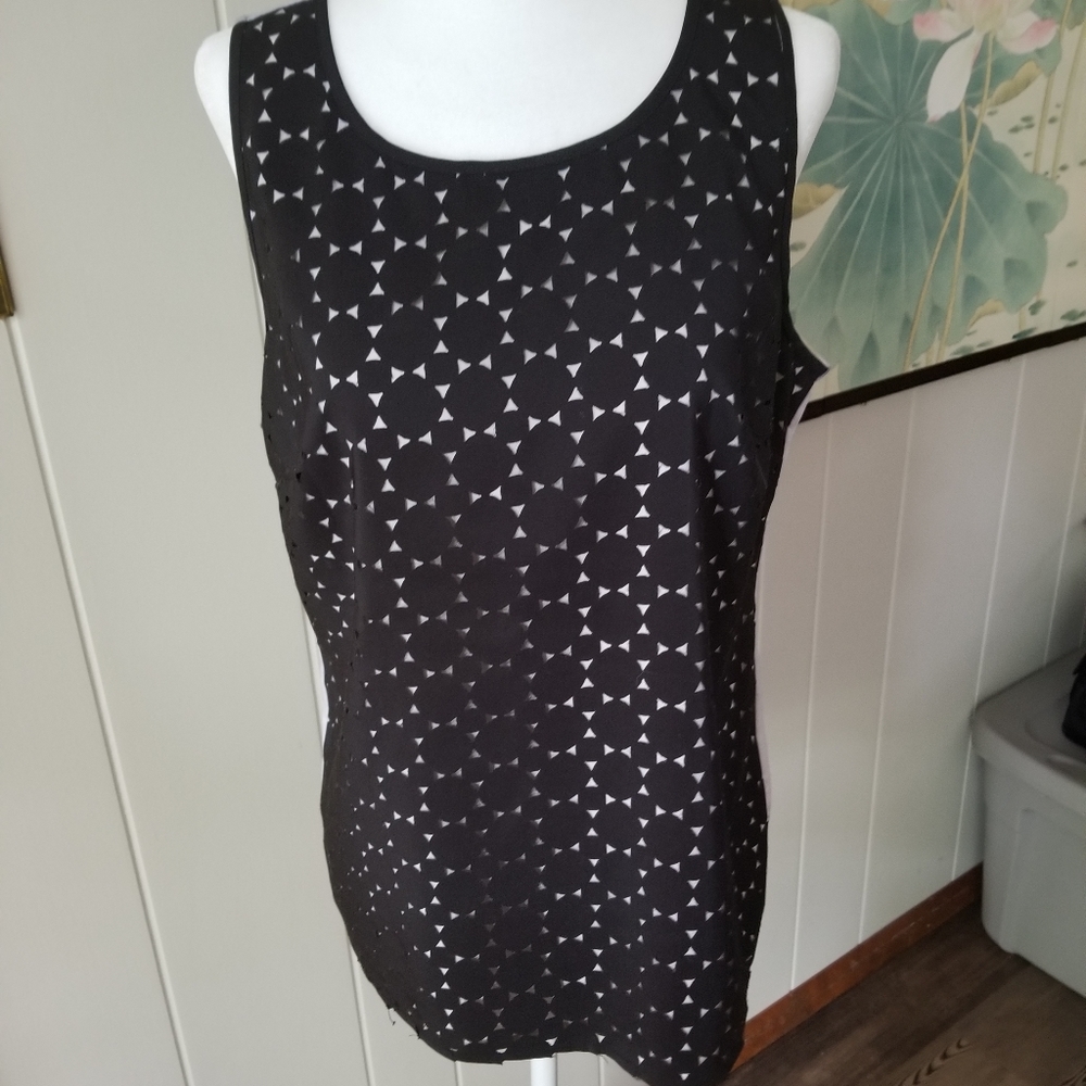 The Limited Top